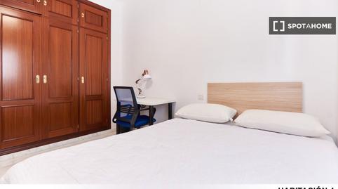 Foto 2 de Pis per a compartir a La Oliva,  Sevilla Capital