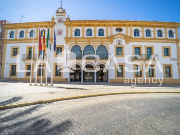 Haus zum Verkauf in Centro - Doña Mercedes
