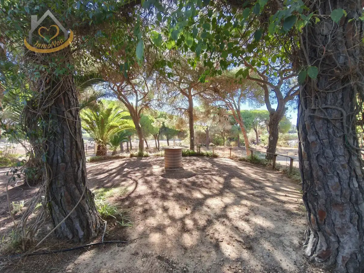 Garten von Grundstücke zum Verkauf in Isla Cristina