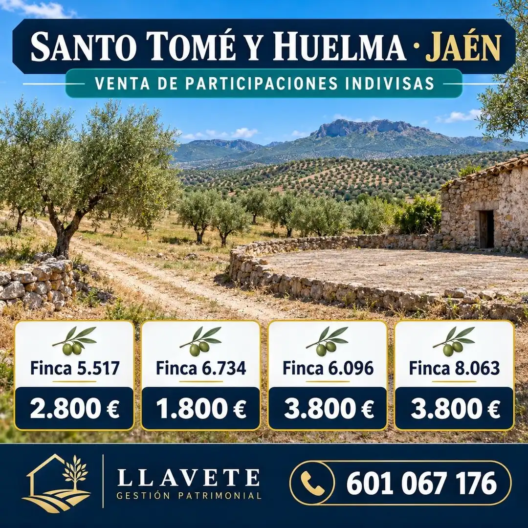 Rural land for sale in Puente Tablas - Puente Nuevo - Cerro Molina, imagen 2