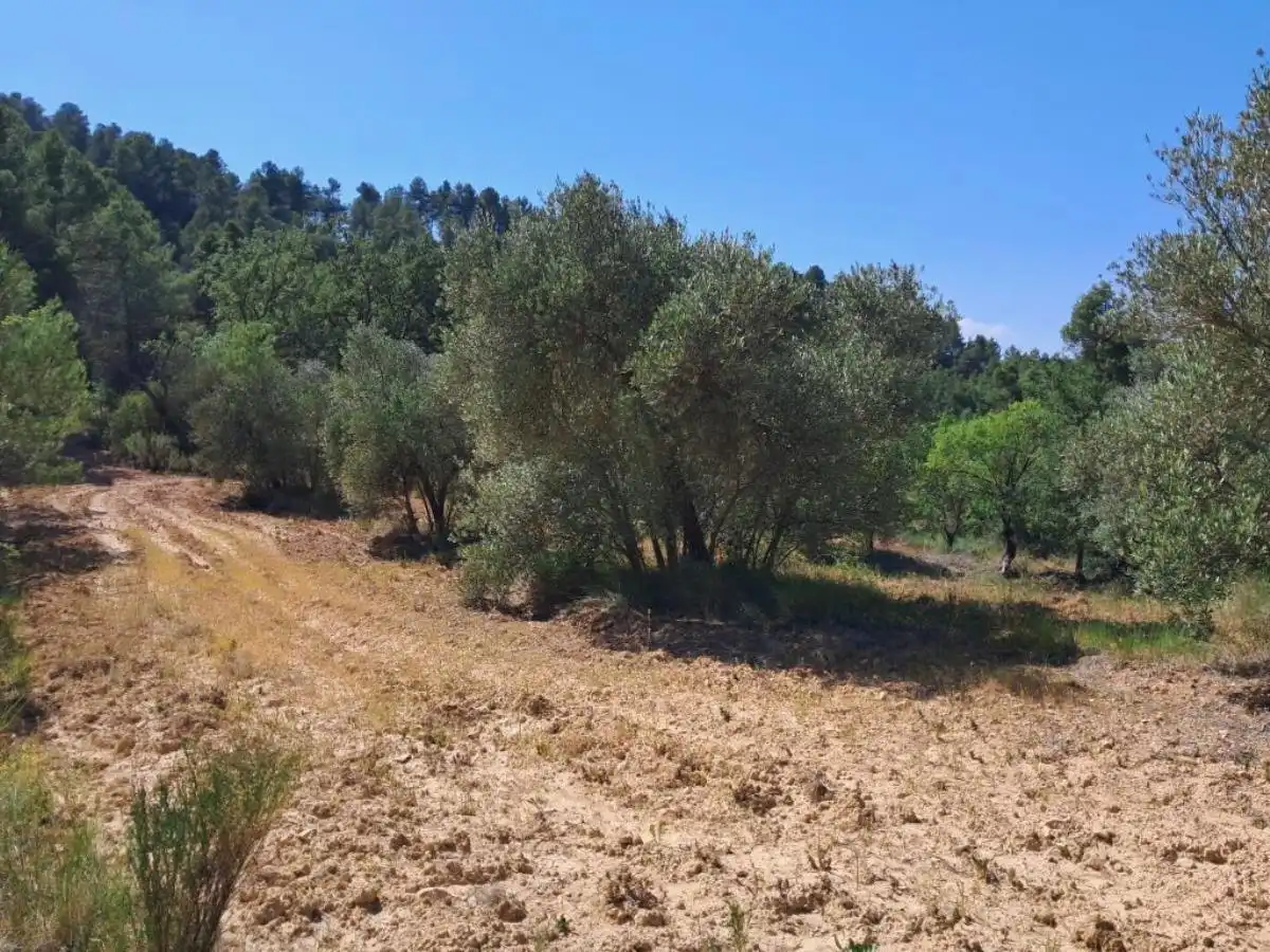 Terreni e lotti in vendita a Cretas, imagen 8