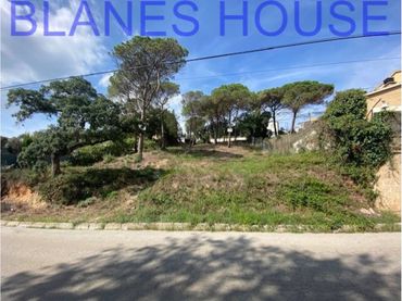 Terreno residenziale in vendita a Calle Eucaliptos