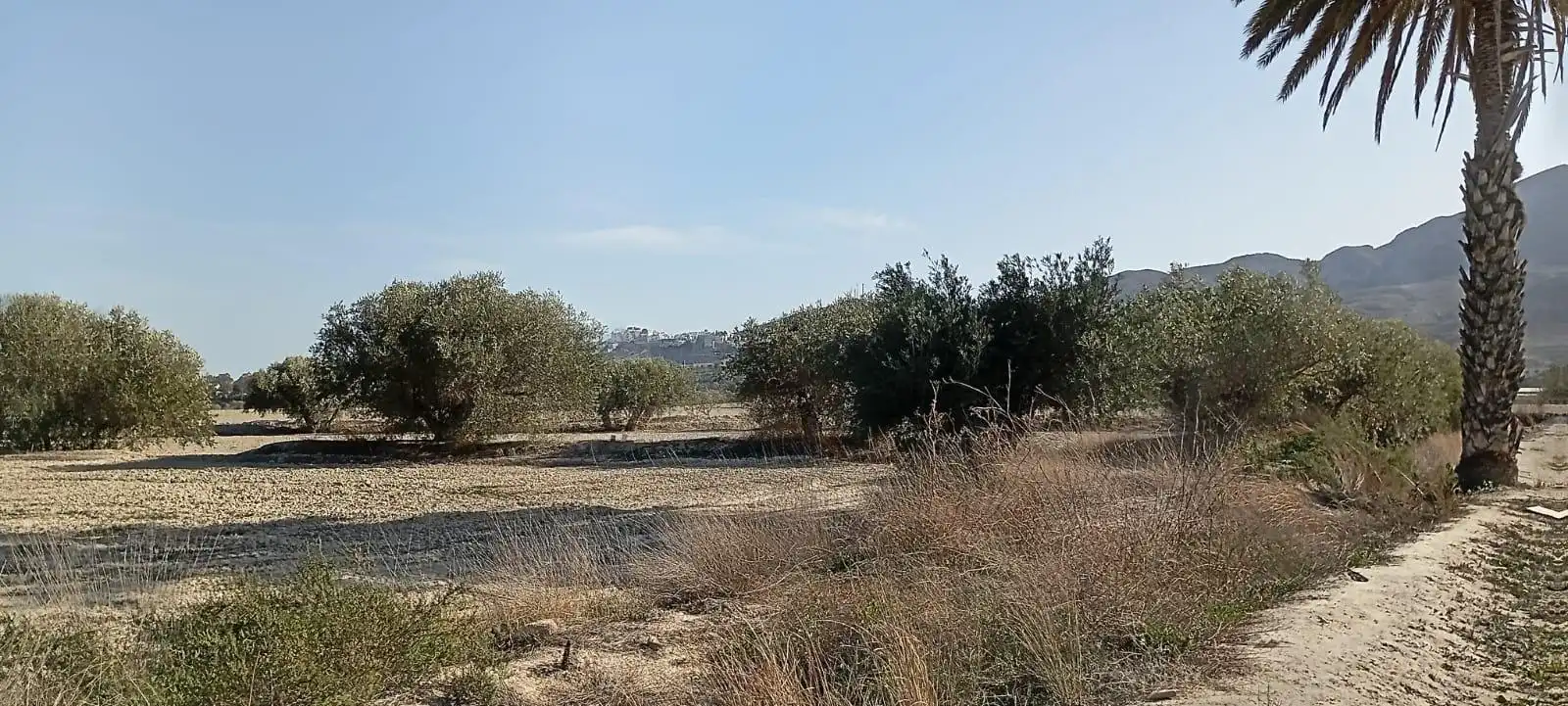 Maison avec jardin à vendre à Mojácar Pueblo, imagen 38