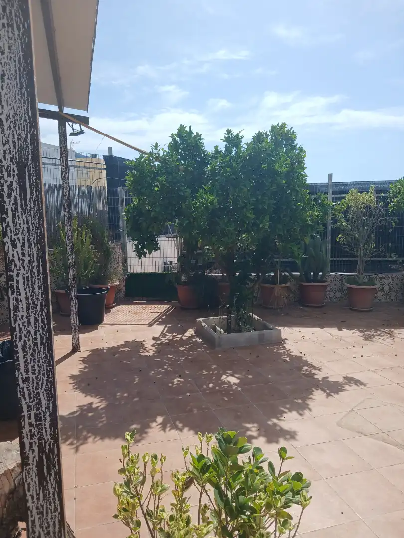 Terrace of Detached homes for sale in Dalías  with Air Conditioner, Terrace and Swimming Pool