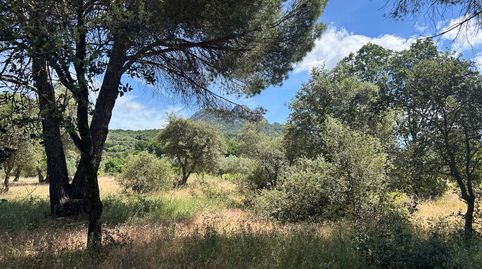 Finca rústica en Cenicientos