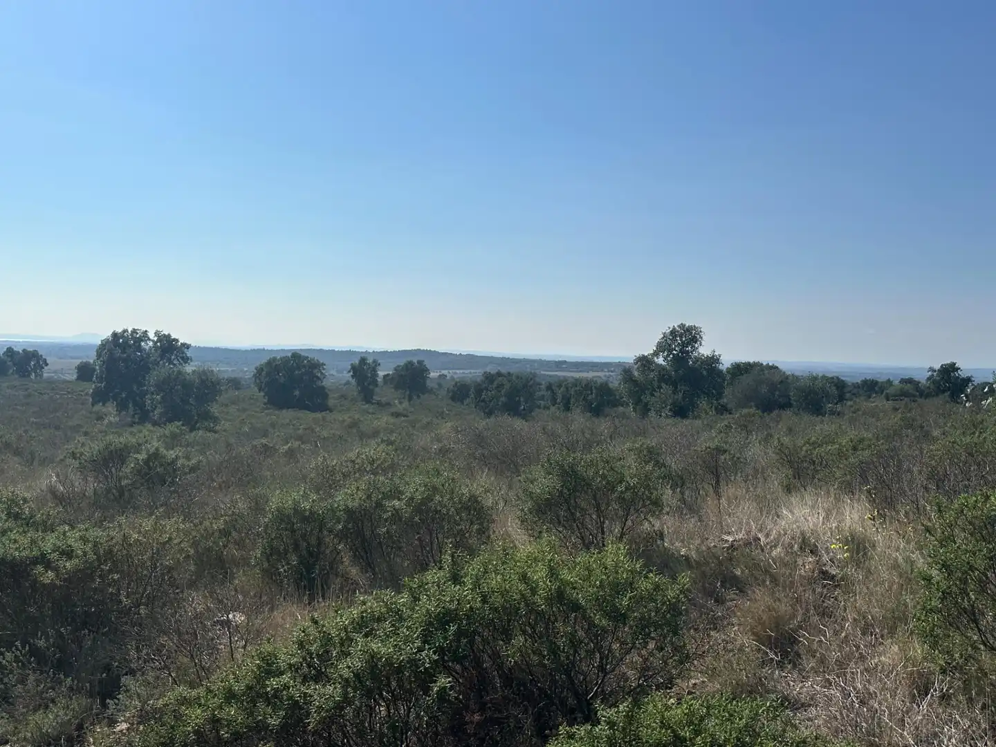 Terreno en venta en Rabós