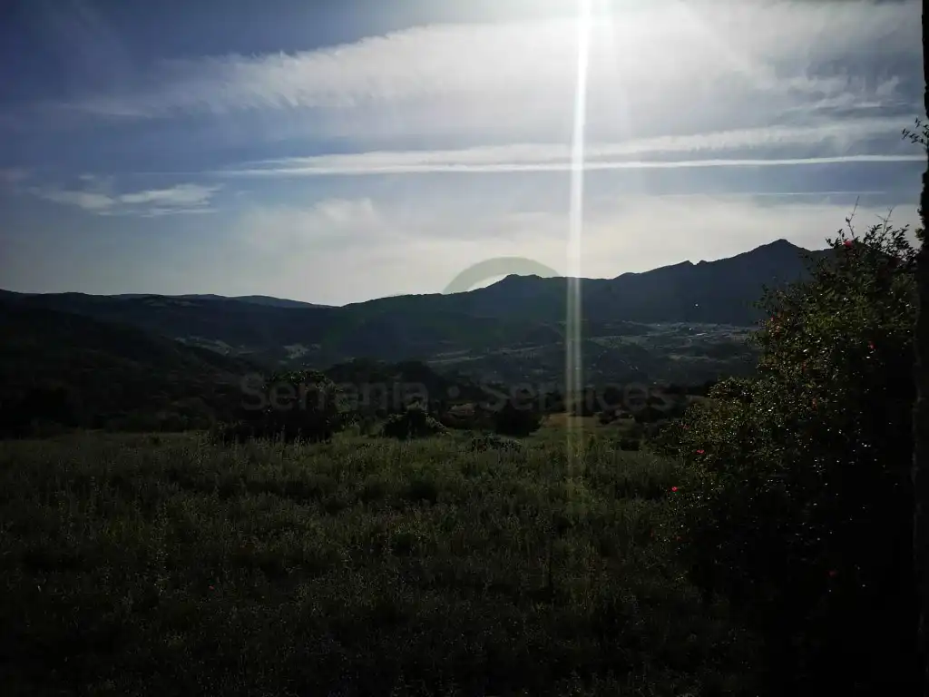 Casa o chalet en venta en Benadalid