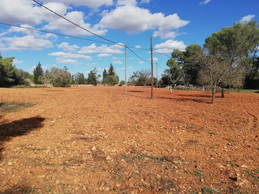 Terreno rustico in vendita a Algaida, imagen 3