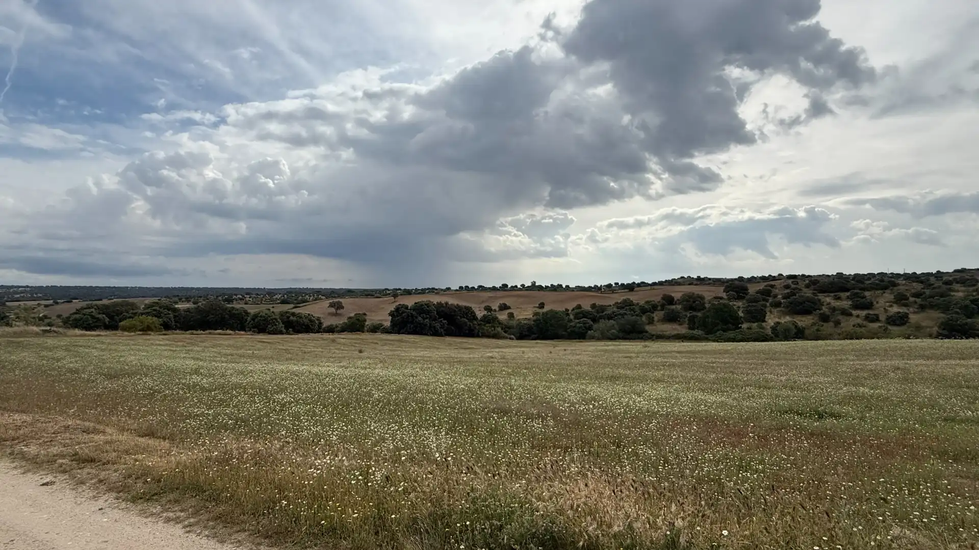 Casa o chalet en venta en Aldea del Fresno con Terraza, Horno y Lavadora