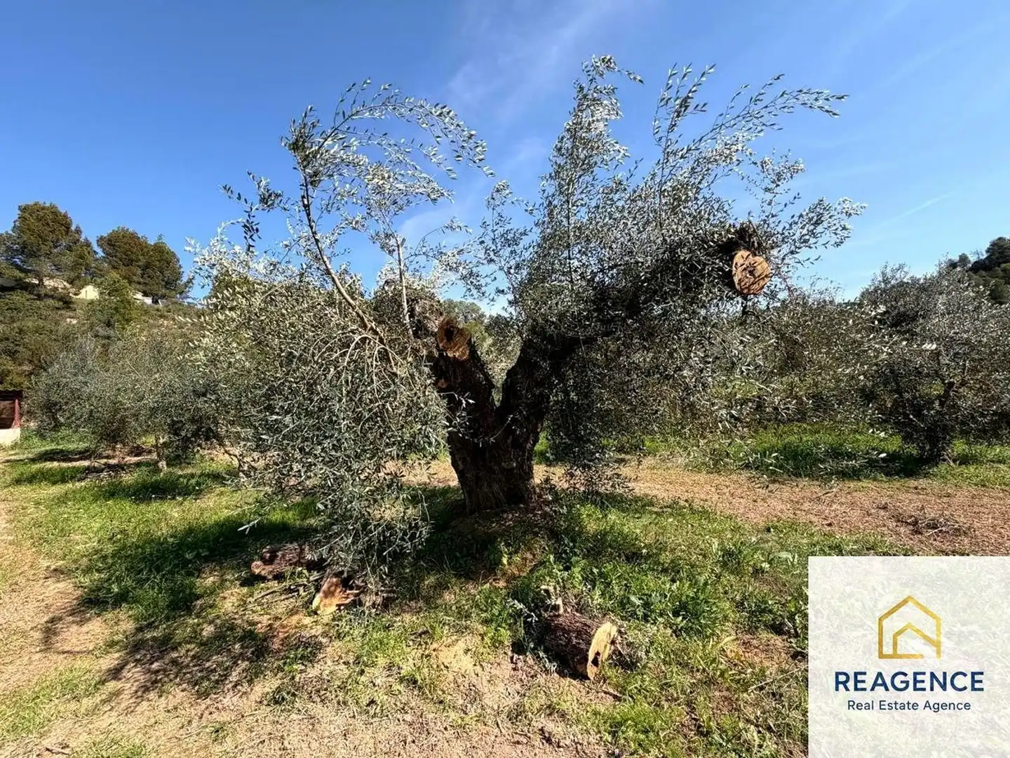 Country homes for sale in Flix, Tarragona