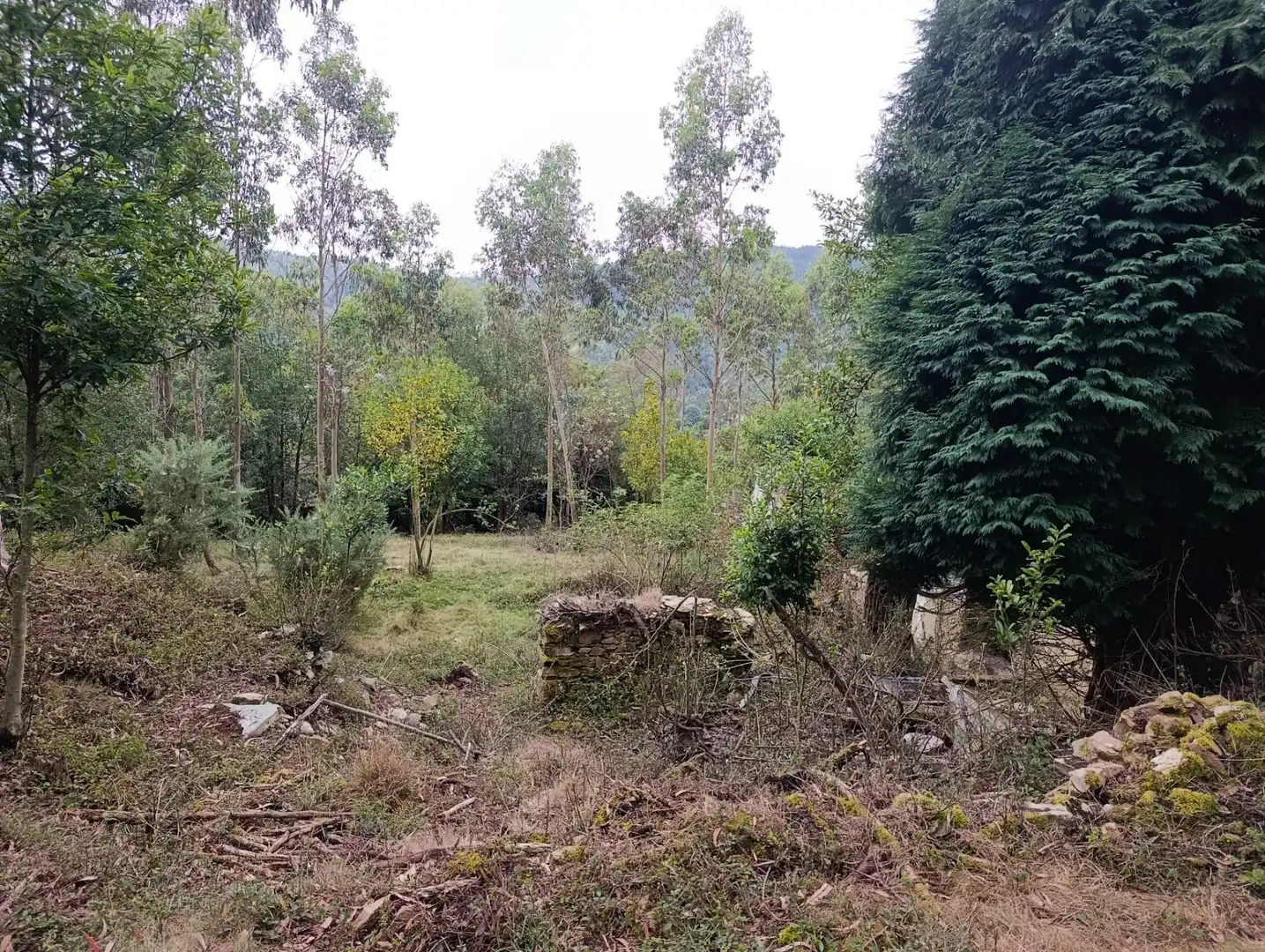 Country homes for sale in Pravia