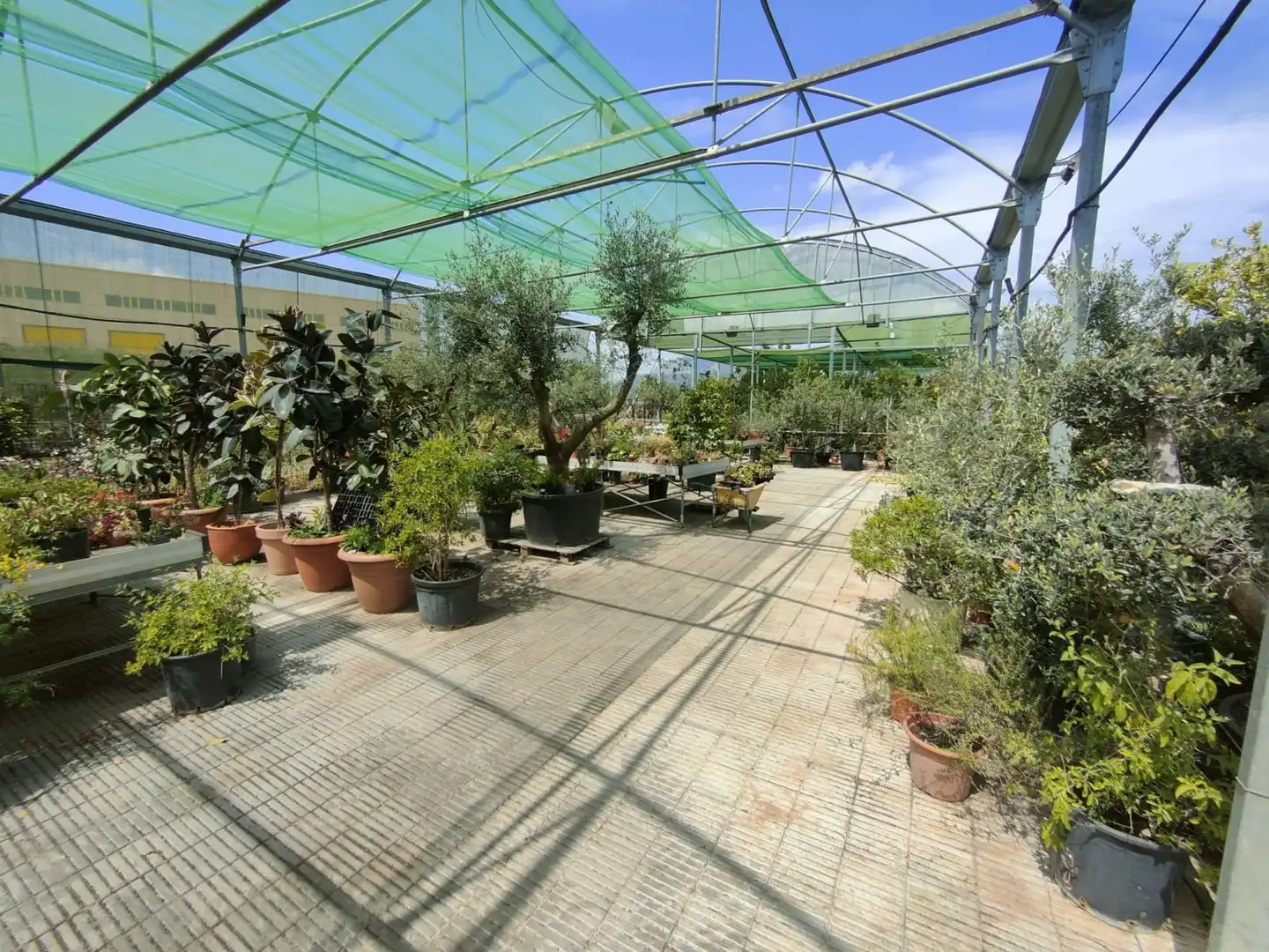 Terrace of Residential for sale in Esparreguera