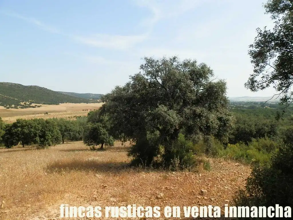 Terreny rústic en venda a Alcolea de Calatrava, imagen 18