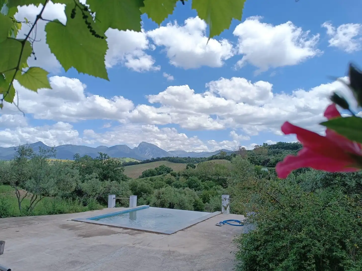 Swimming pool of Residential for sale in Prado del Rey