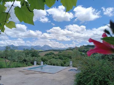 Terreny residencial en venda a Prado del Rey