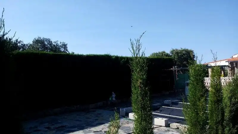Garden of Houses for sale in Plasencia  with Swimming Pool