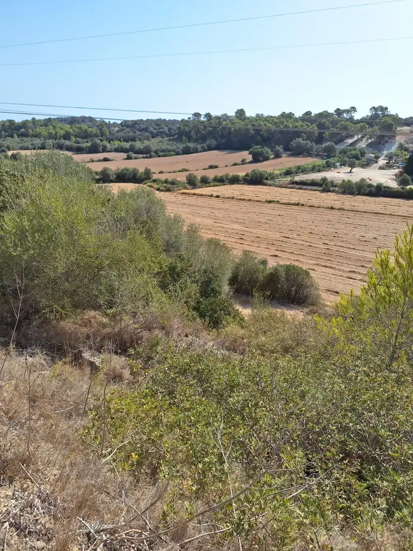Terreny rústic en venda a Muro, imagen 19