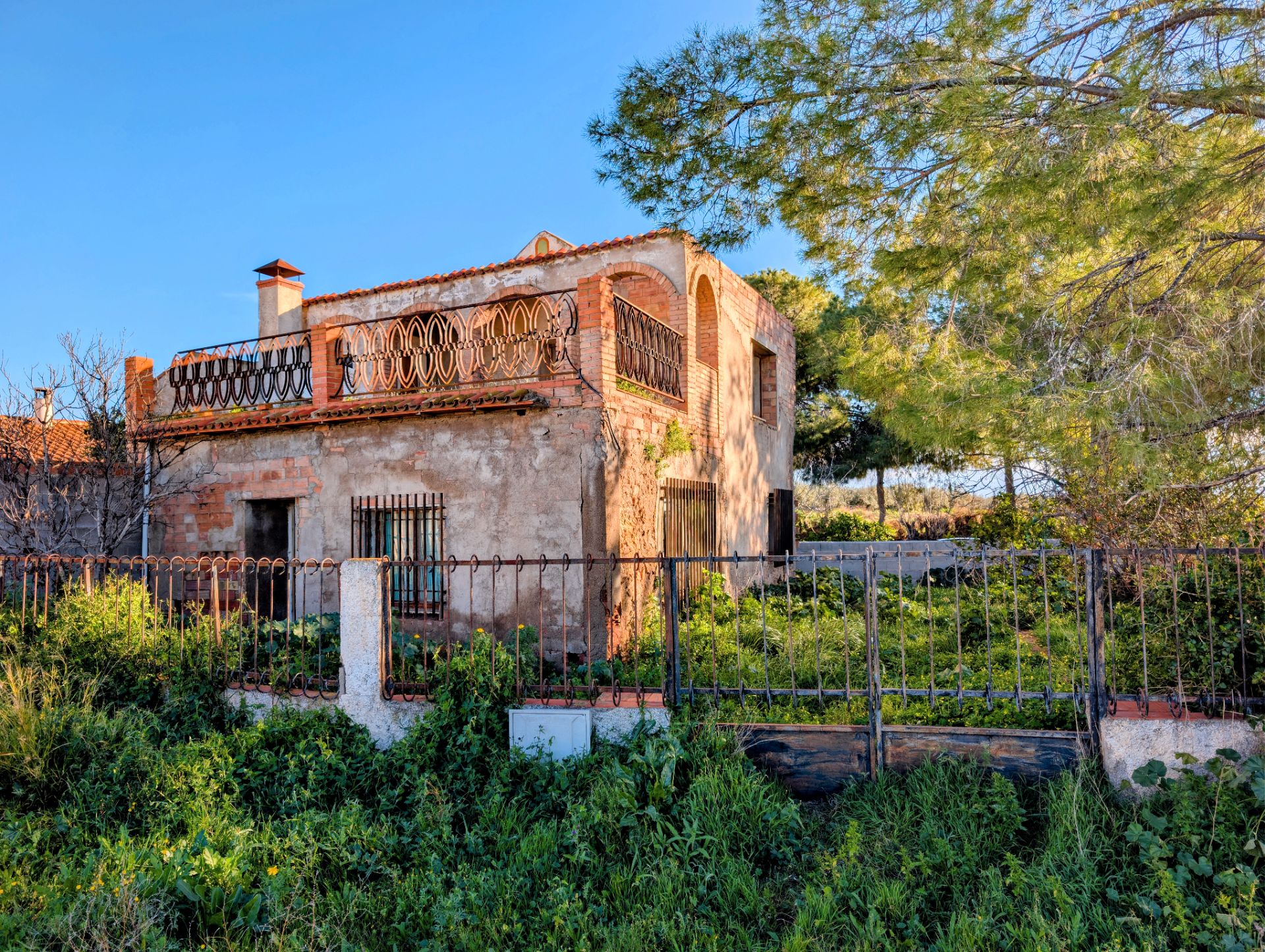 Vista exterior de Casa o xalet en venda en Fuente Álamo de Murcia amb Jardí privat