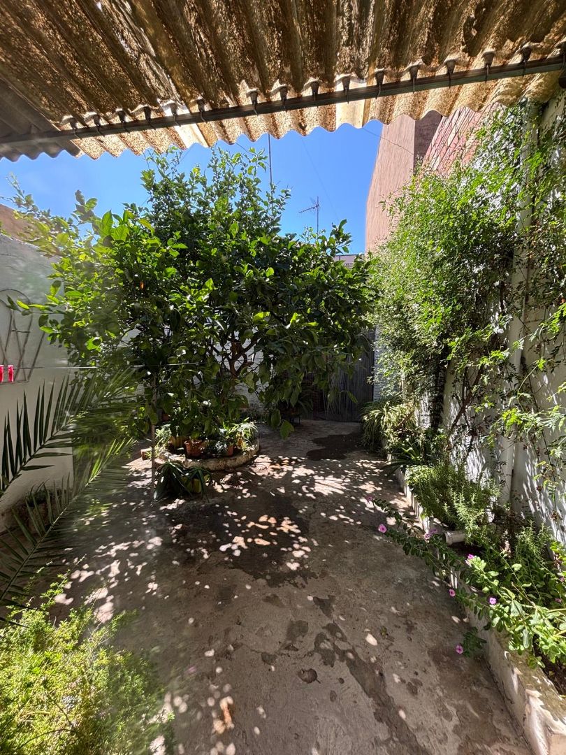 Jardín de Casa o chalet en venta en Alginet con Terraza, Trastero y Horno