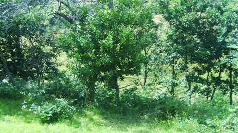 Photo 5 of Houses for sale in Abegondo, A Coruña