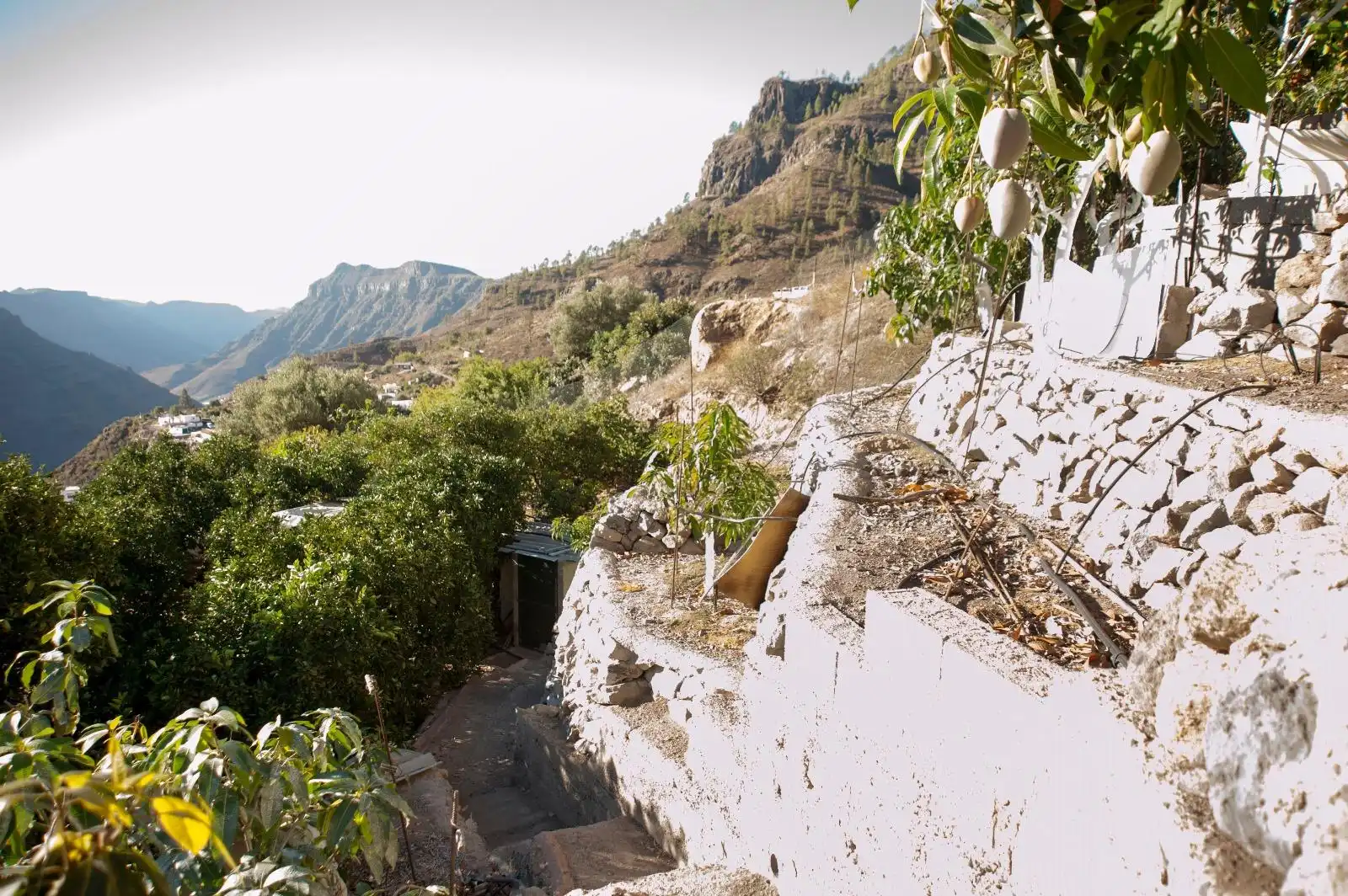 Country house for sale in El Horno, imagen 26