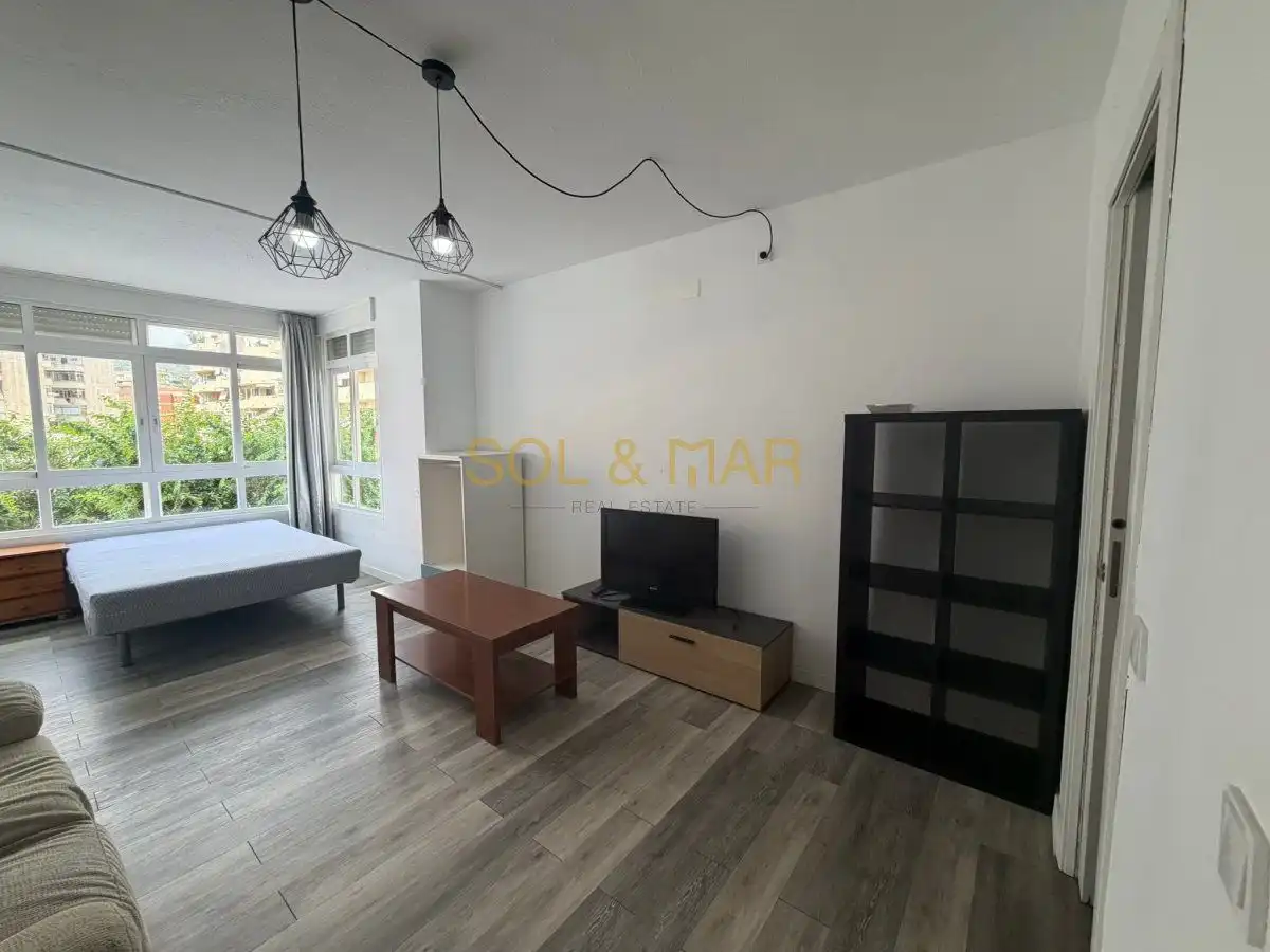 Study for rent in Campillos, Manantiales - Estación de Autobuses