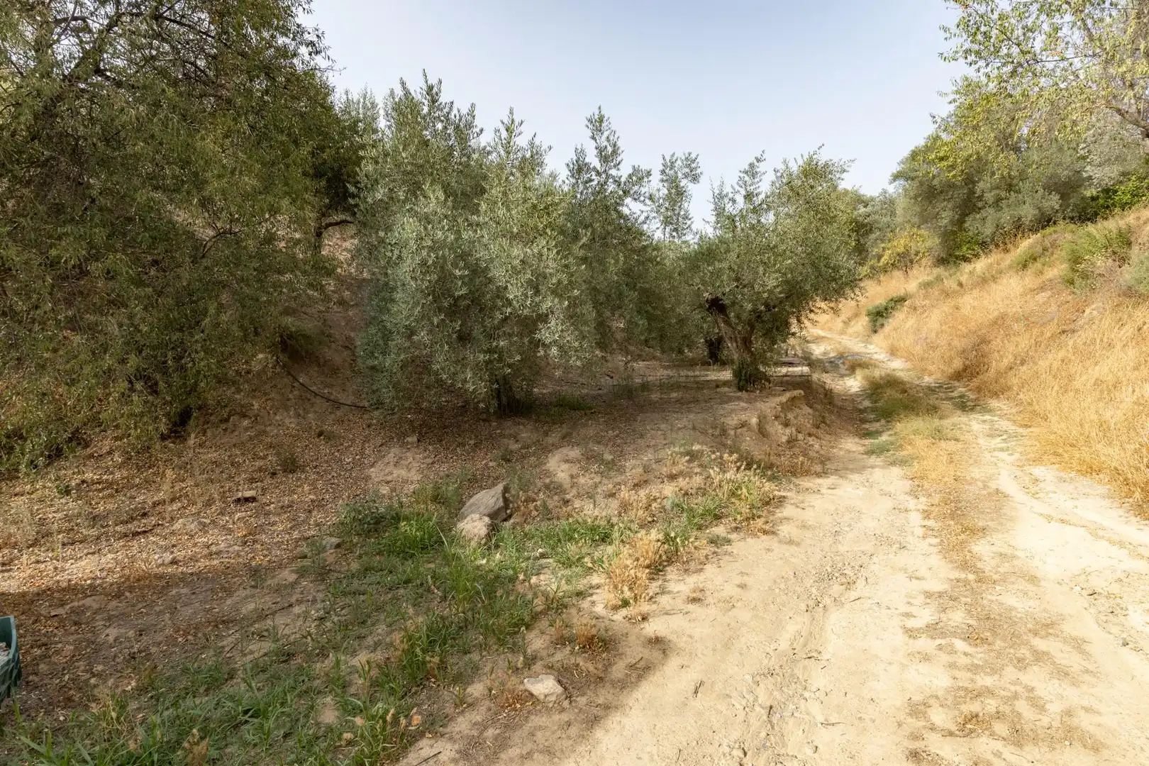 Land for sale in Lecrín