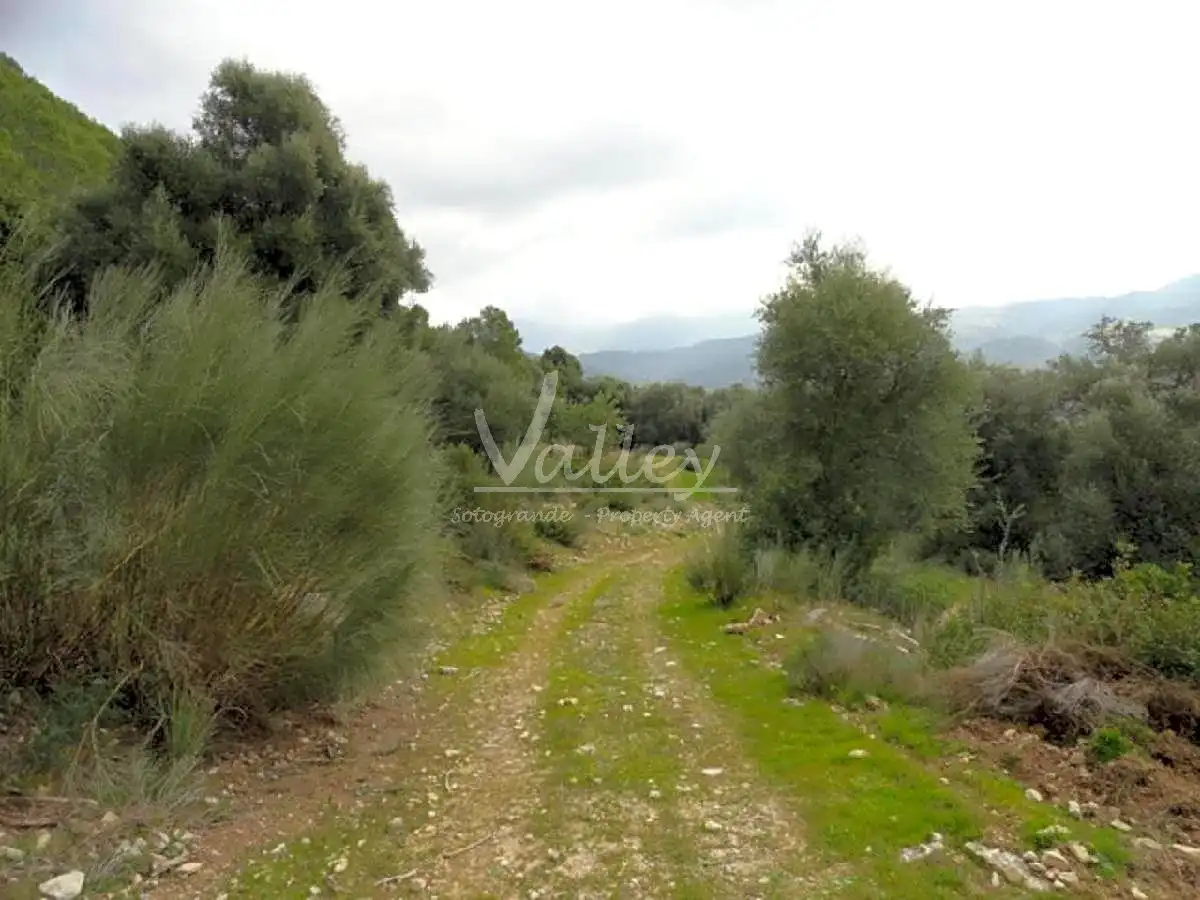 Terreni e lotti in vendita a None, imagen 3
