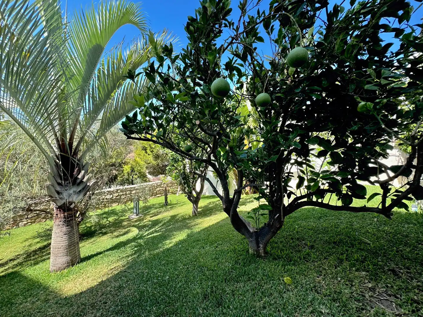 Villa con piscina in vendita a el naranjo, imagen 31