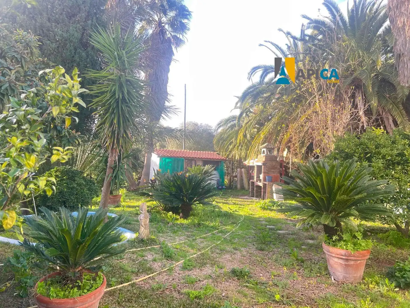 Garden of Houses for sale in Medina Sidonia  with Terrace and Furnished
