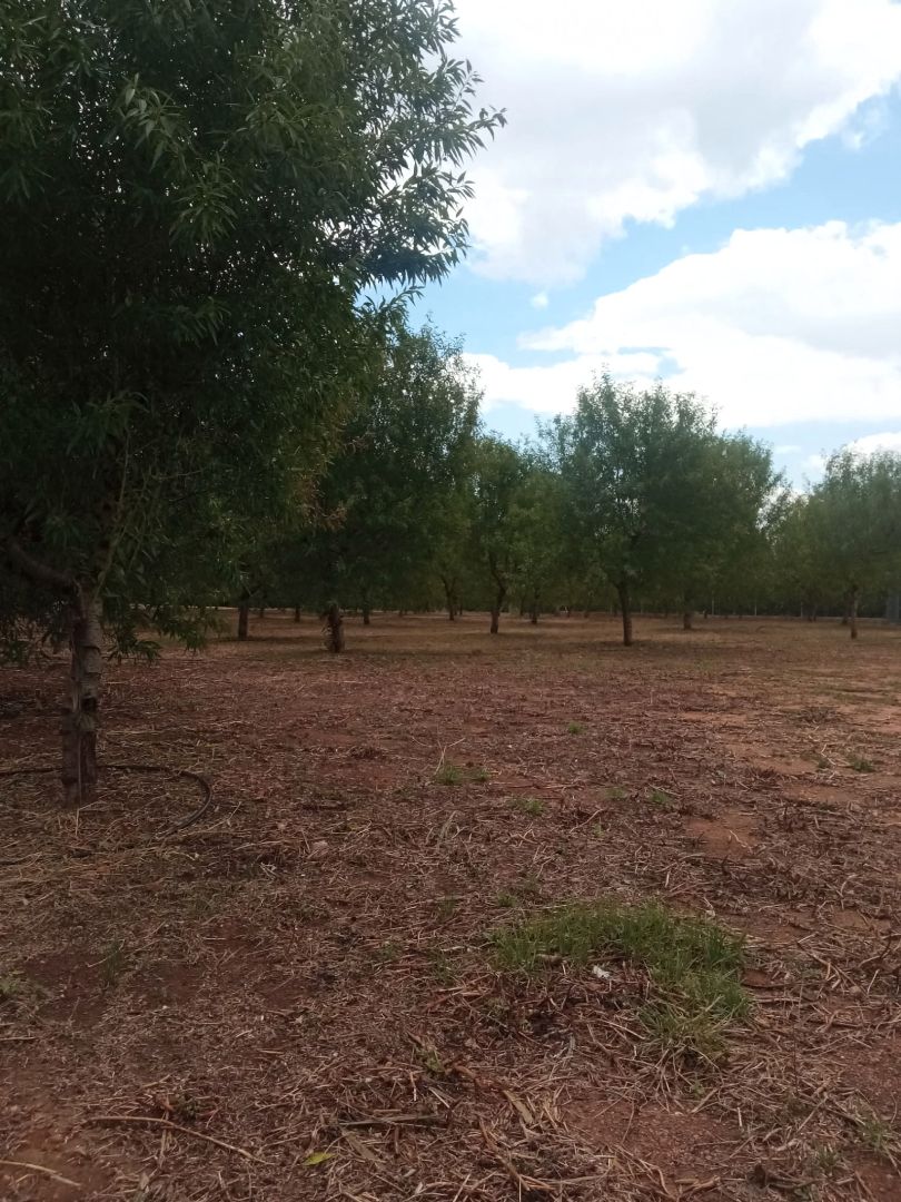 Land for sale in Alcàsser