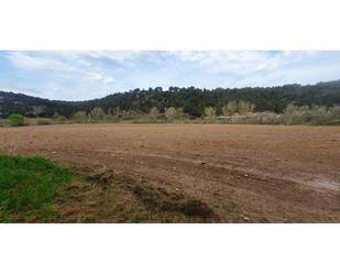 Land for sale in Castellgalí