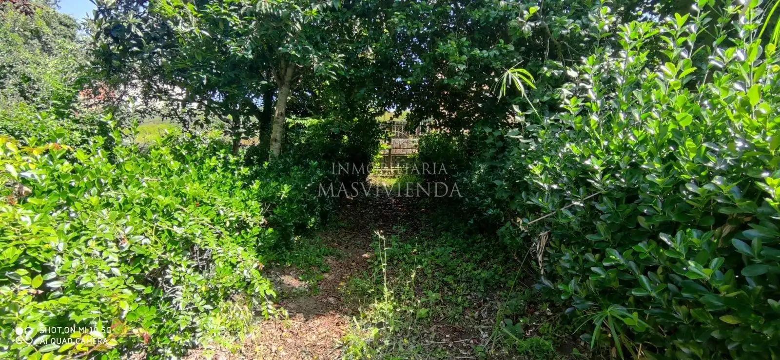 Casa con jardín en venta en Del Val, imagen 44