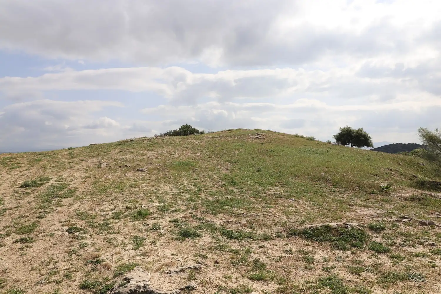 Residential land for sale in Calle Mar Cantábrico 13