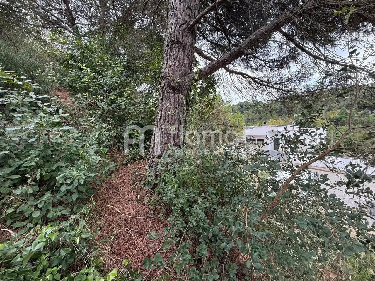Terrenos y solares en venta en Carrer Pluto, imagen 9