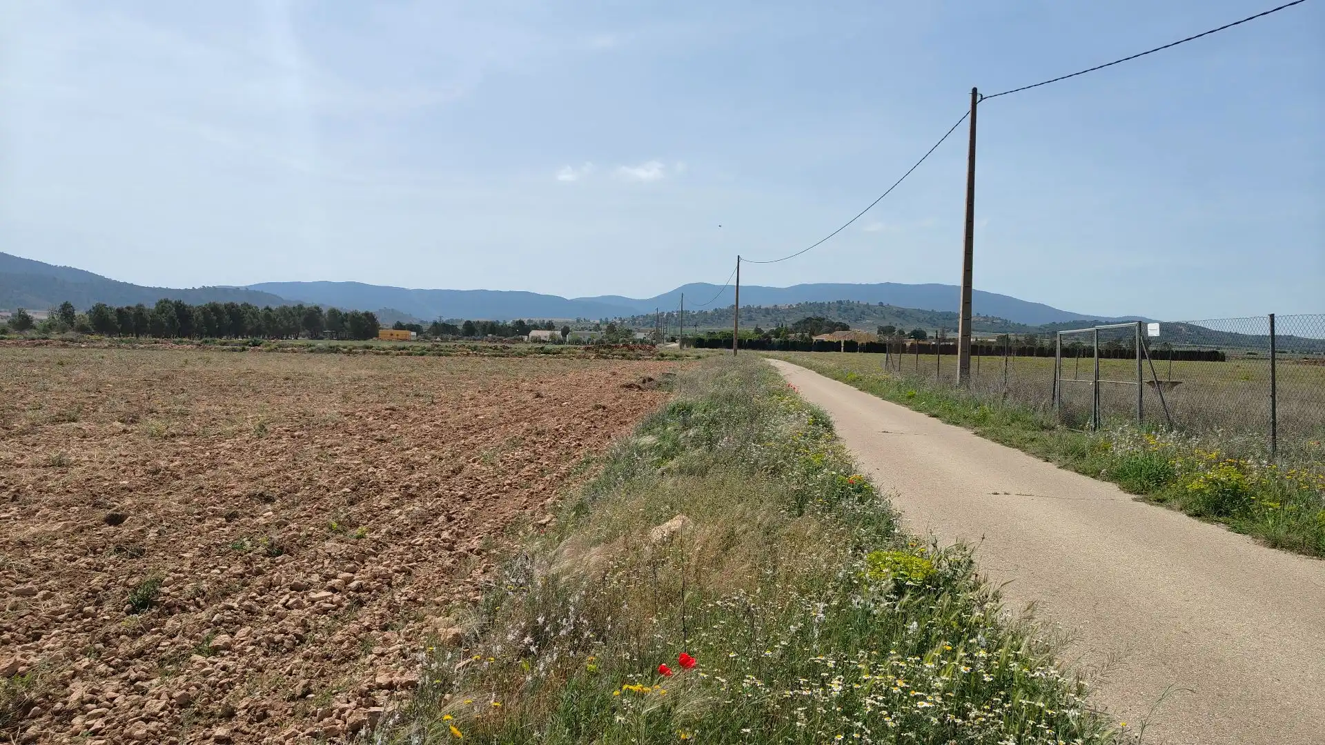 Terreni e lotti in vendita a Yecla, imagen 6