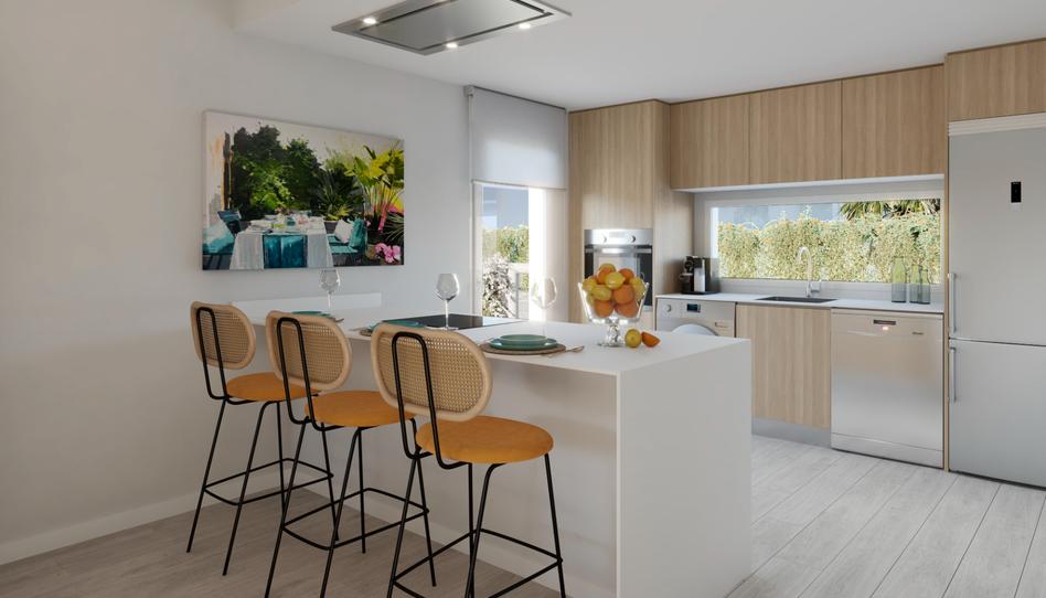 Photo 0 of Promotion LOS COLIBRÍES