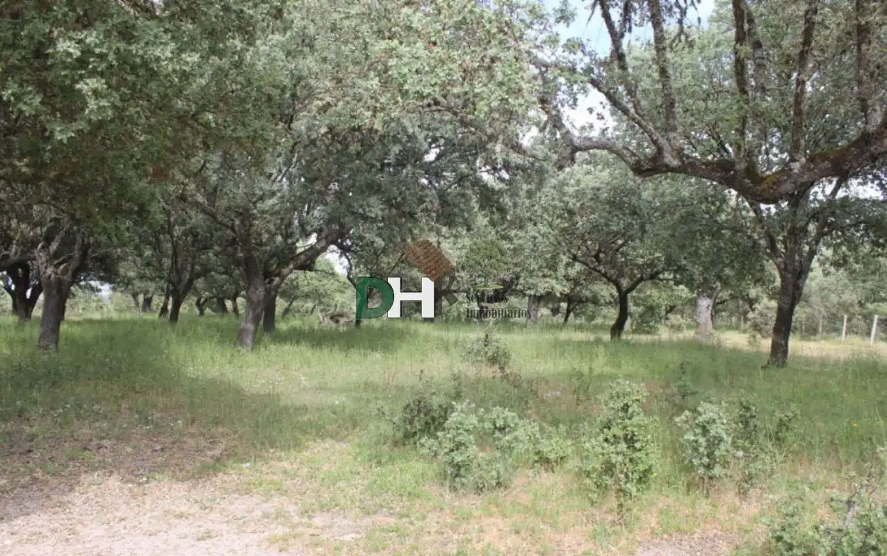Residencial en venda a Universidad - Tenerías