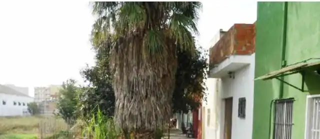 Terreny residencial en venda a Carrer Camí Recortes, imagen 12