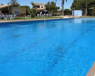 Swimming pool of House or chalet to rent in Orihuela  with Terrace and Swimming Pool