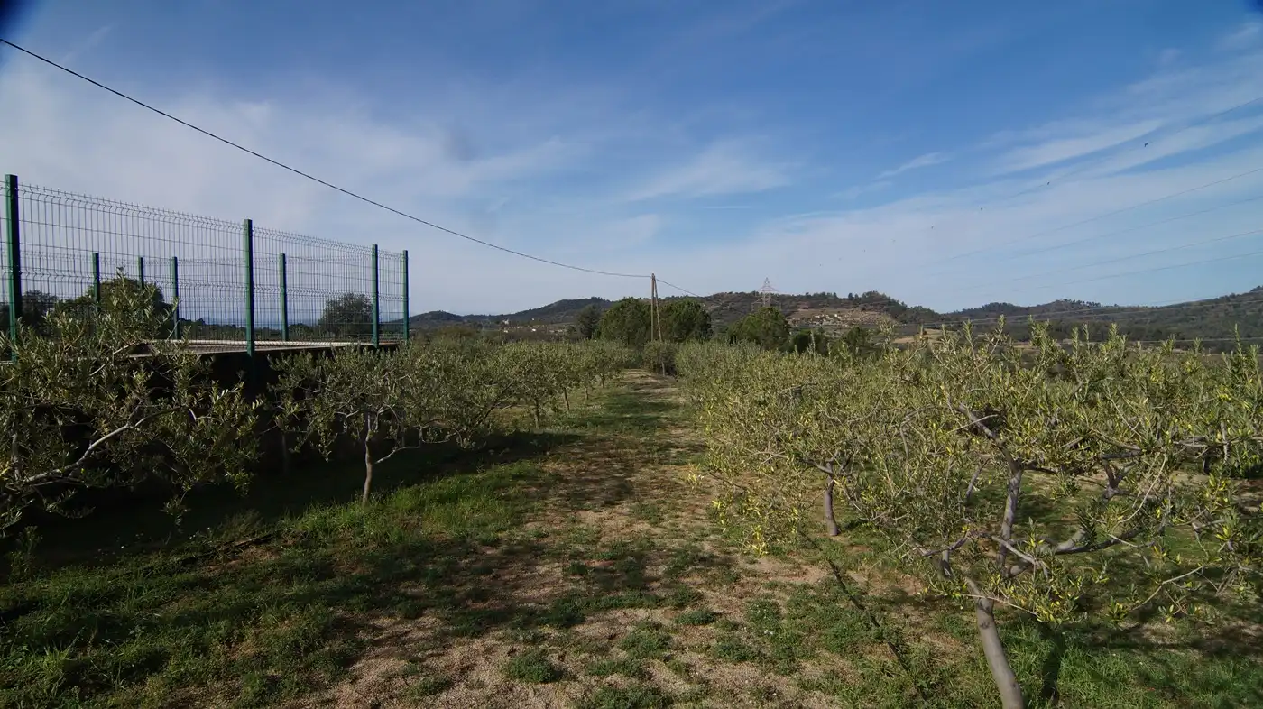 Country homes for sale in Falset  with Private garden