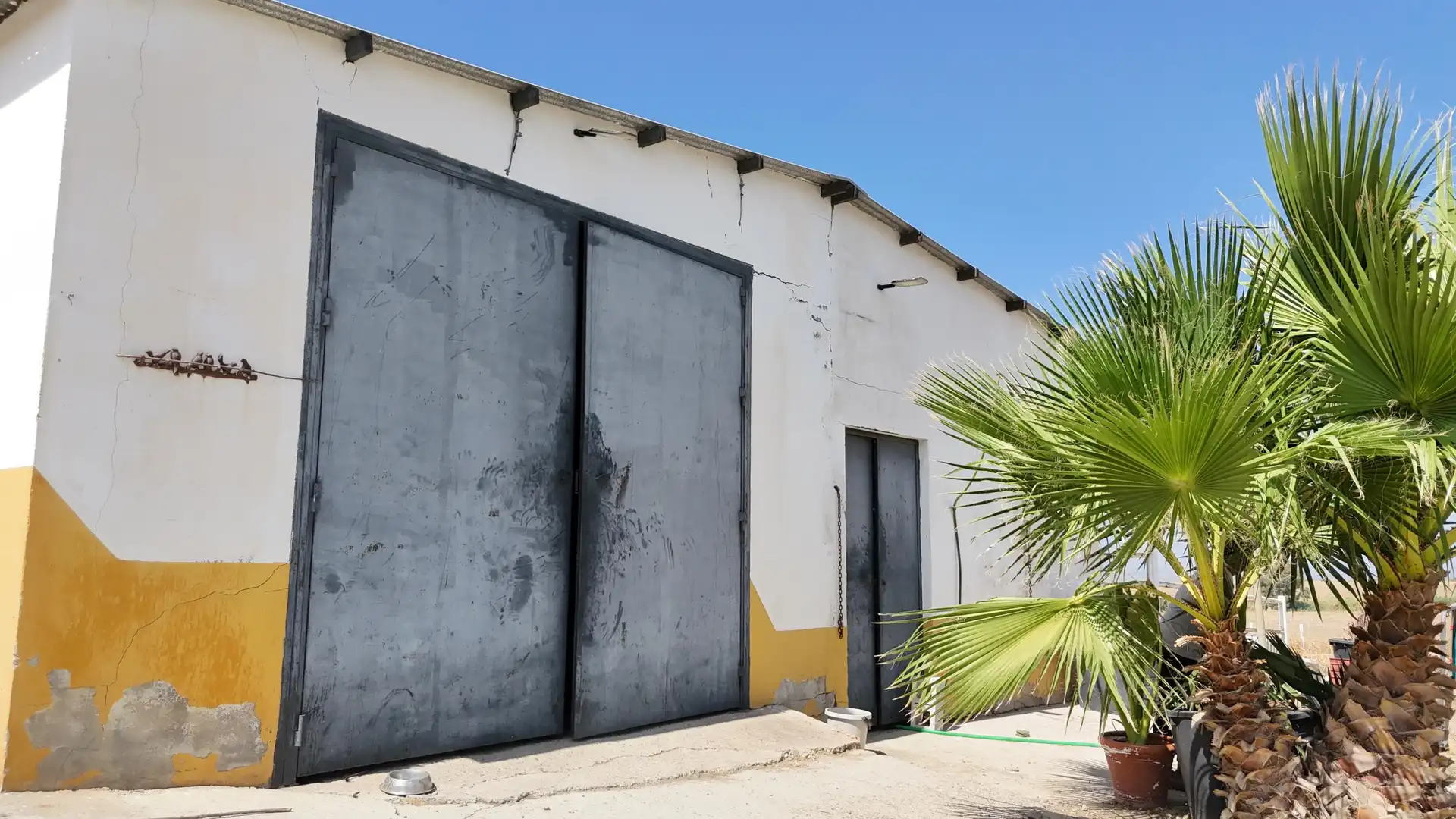 Rural land for sale in Polígono 12 Parcela 177 LA CORIANA. OLIVARES (SEV, imagen 2