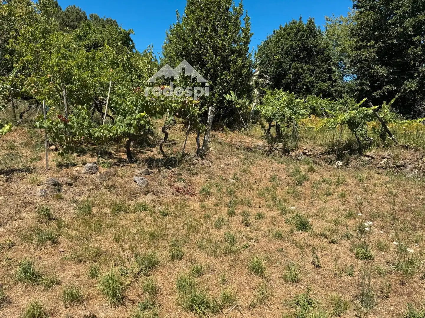Maison à vendre à Crecente, imagen 15
