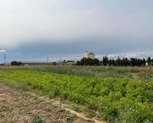 Finca rústica de lloguer en Santas Martas