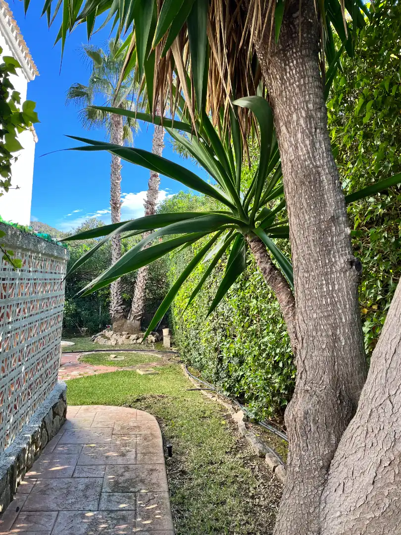 Chalet con terraza en venta en Carrer De L'Angilaga, imagen 20