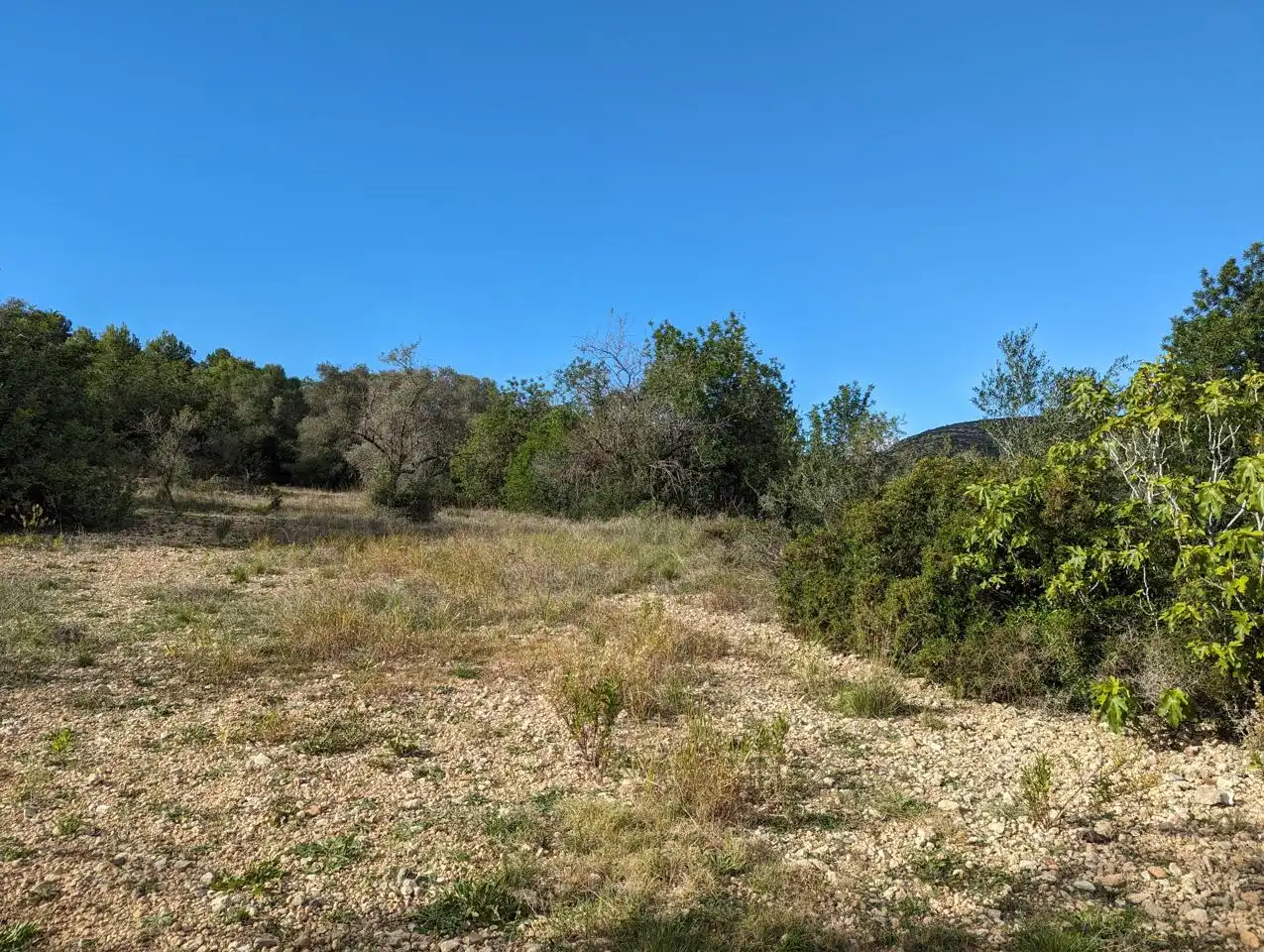 Finca rústica en venda en Ulldecona