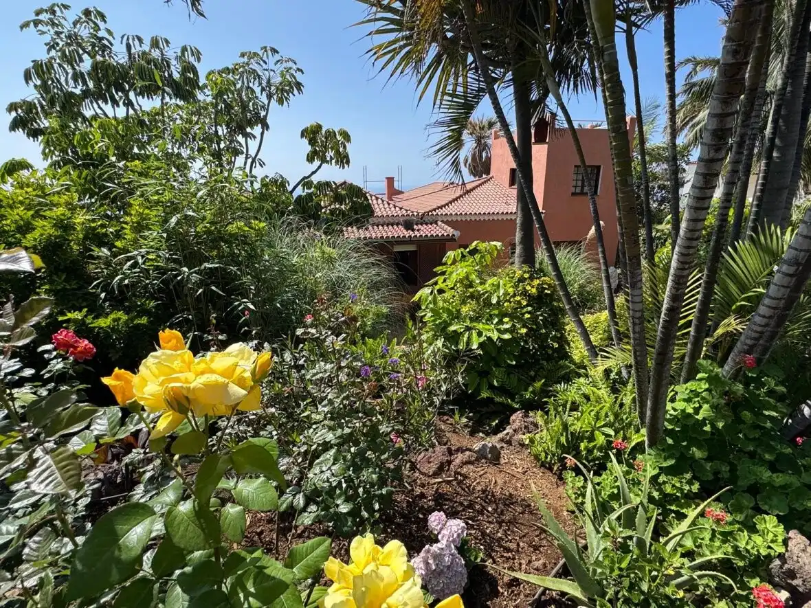 Jardín de Casa o chalet en venta en Tacoronte con Terraza y Sauna