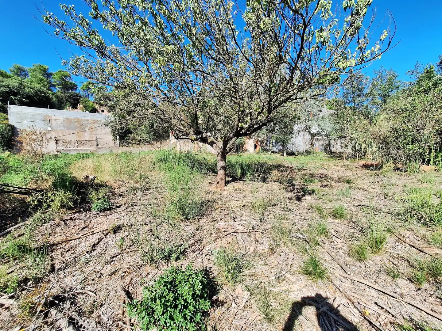 Terreno residencial en venta en SANTA CECILIA, DE, imagen 9
