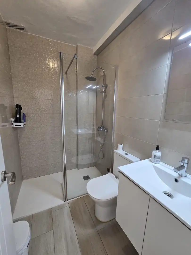 Wohnung zur Miete in Centro ciudad