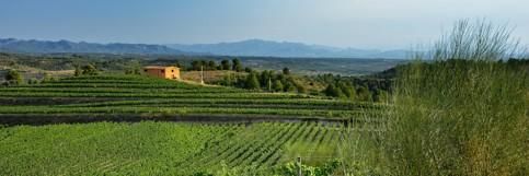 Residencial en venta en El Molar (Tarragona)